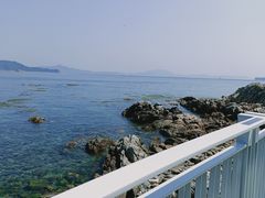 -大梅沙海滨公园