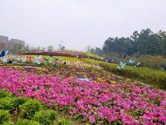 -天府芙蓉园