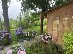 -DORA kids 朵拉儿童摄影花园店