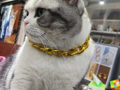 -百金通黄金回收首饰定制维修(珠江路总部)