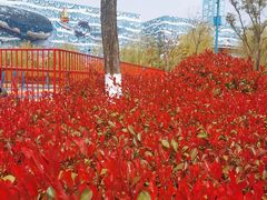 -华夏文旅海洋公园