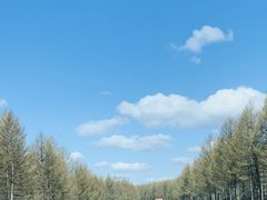 -塞罕坝国家级自然保护区