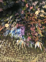 点击看大图 -花嫁丽舍婚礼殿堂(世博江景店)