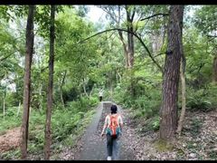-青龙山国家森林公园