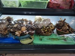 -野菌王•养生汤锅•野生菌火锅(大理漾濞路店)