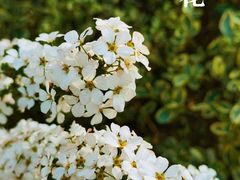 -苏州河梦清园环保主题公园