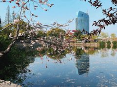 -无锡蠡湖国家湿地公园-蠡园