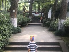 -杭州黄龙洞