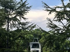 -艾溪湖湿地公园