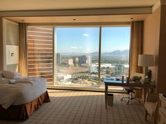 -拉斯维加斯永利酒店