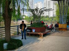 -运河游船(武林门码头)