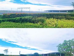 10和篮球场大的户外花园，尽情嗨-深圳机场凯悦酒店