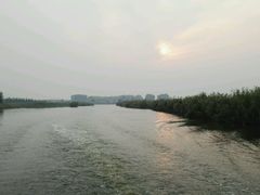 -白洋淀景区