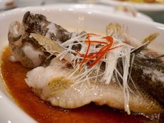 -大来渔村(市桥店)
