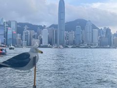 -海港城