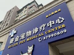 -睿金宠物医院·CT·肿瘤·骨外科