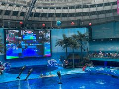 -海合安成都极地海洋公园