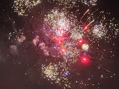 -太湖饭店玉兰厅(自助餐厅)