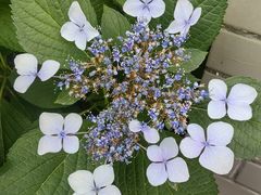 -长沙友阿奥特莱斯