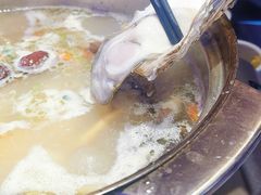 -千岛蚝高压锅生蚝·人参火锅(白云万达店)