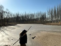 -东郊湿地公园