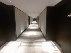 -新加坡乌节希尔顿酒店 (SG Clean)