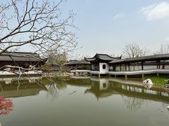 -上海滨江森林公园