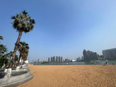 -金沙湖公园