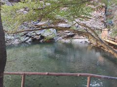 -九龙潭景区
