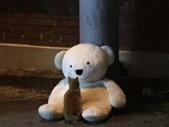 -Long Bar(莱佛士酒店)