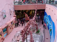 -陕西自然博物馆