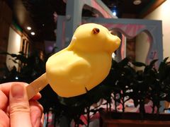 -杭州开元森泊度假乐园