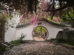 -深圳国际园林花卉博览园