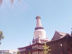 -张掖大佛寺景区