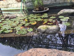 -荷香居(洞企石路店)