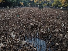 -四川大学(华西校区)