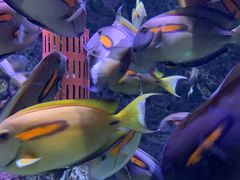 -成都浩海立方海洋公园