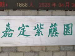 -嘉定紫藤园