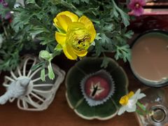 -百年同和·江南点心院(山塘街店)