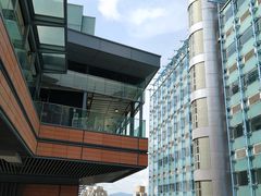 -香港大学