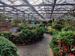 -南宫五洲植物乐园