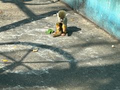 -秦皇岛野生动物园