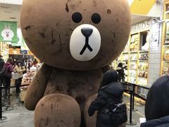 -line friends(明洞旗舰店)