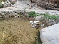 -黑龙潭风景区