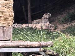 -宁波野生动物园