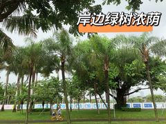 -深圳湾公园(南山区)