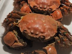 -悦海·家宴·冰花皮皮虾大锅贴(宝龙店)