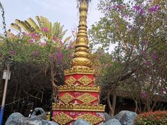 -瑞丽独树成林风景区