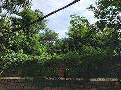 -贮水山儿童公园