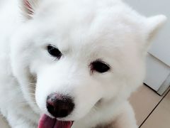 -美迦爱-牙专科·兔科·骨科诊疗中心(北苑店)